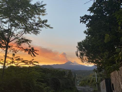 panorama_02